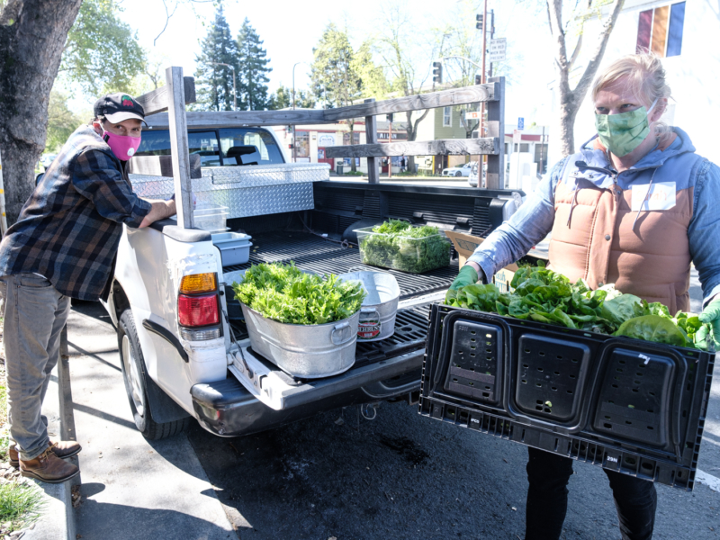 Food pantries rally to help those made food insecure by COVID-19